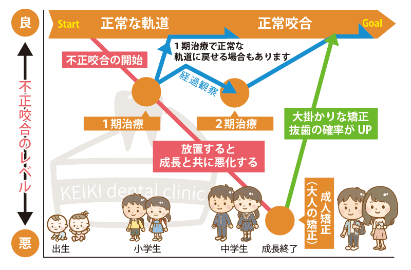 矯正1期と2期成長